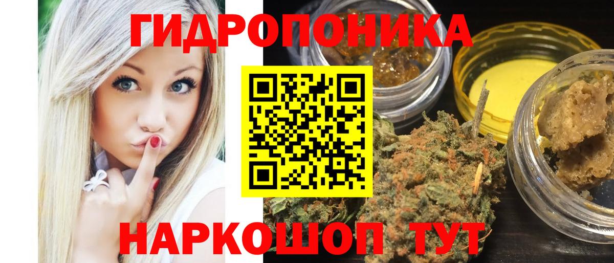 Бошки Шишки семена Малоярославец